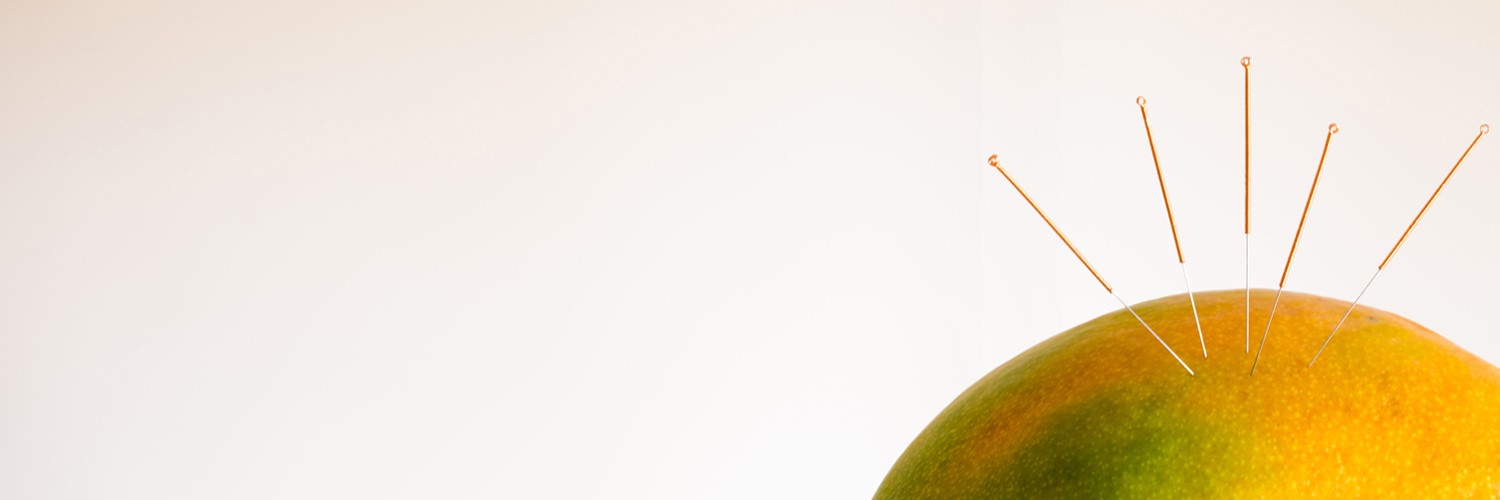 roterschnabel Mango mit Akkupunkturnadeln